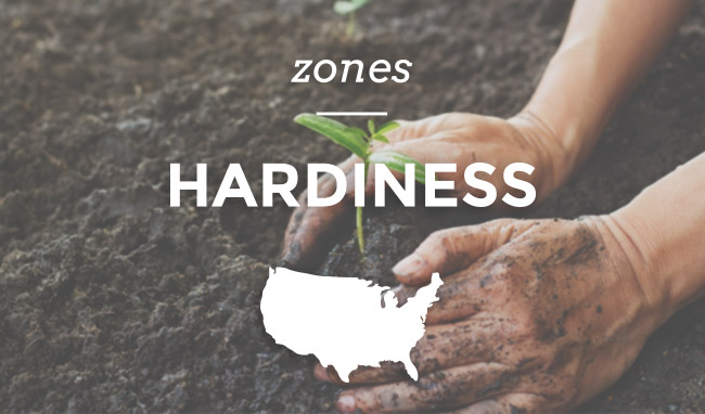 Hardiness Zones